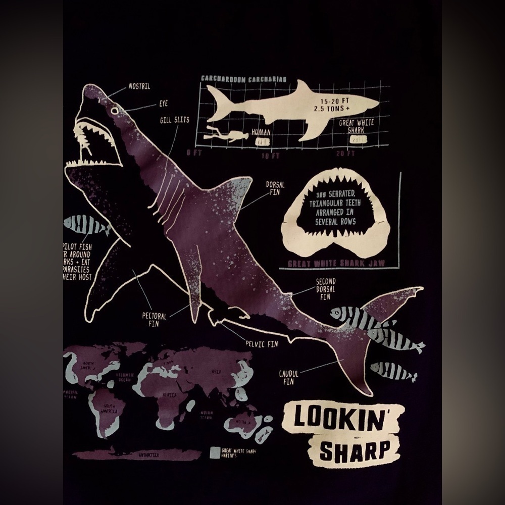 Rumi + Ryder Size XS, 4-5, Glow In The Dark Shark Tee - Picture 5 of 5